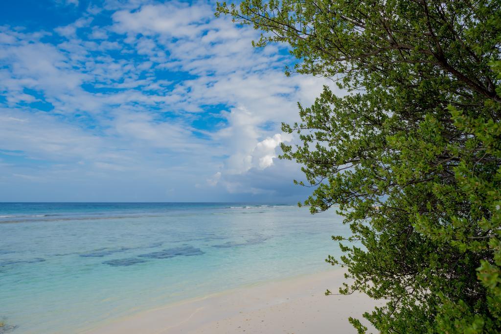 Maclura Residence Maalhos (Baa Atoll) Exterior foto